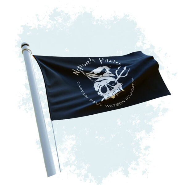 Flagge - Neptunes Pirates Thumbnail